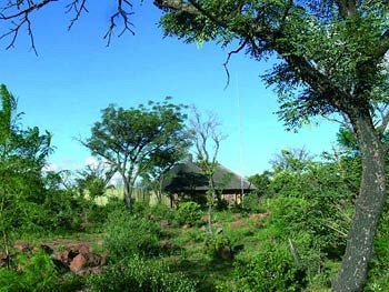 Abloom Bush Lodge & Spa Retreat Cullinan Exteriör bild